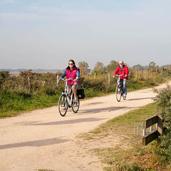 Fietsers op een landweggetje door de Zeeuwse natuur bij Tholen